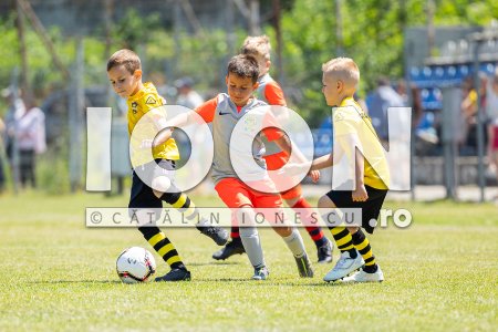 20250622_IMG_R6_509658